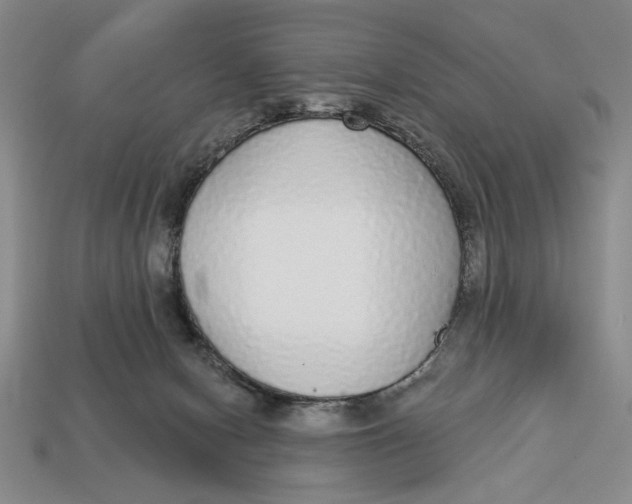 X0000112910078200909141300