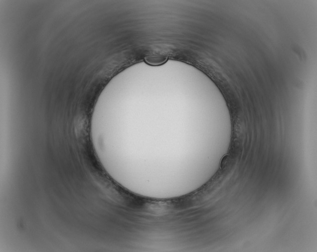 X0000112910079200909141300