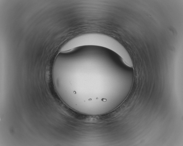 X0000112910080200909141300