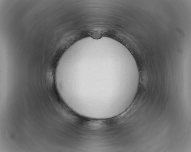 X0000112910086200909141300