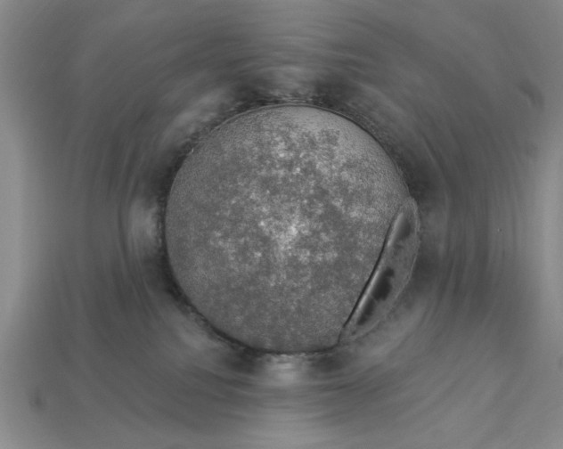 X0000112910088200909141300