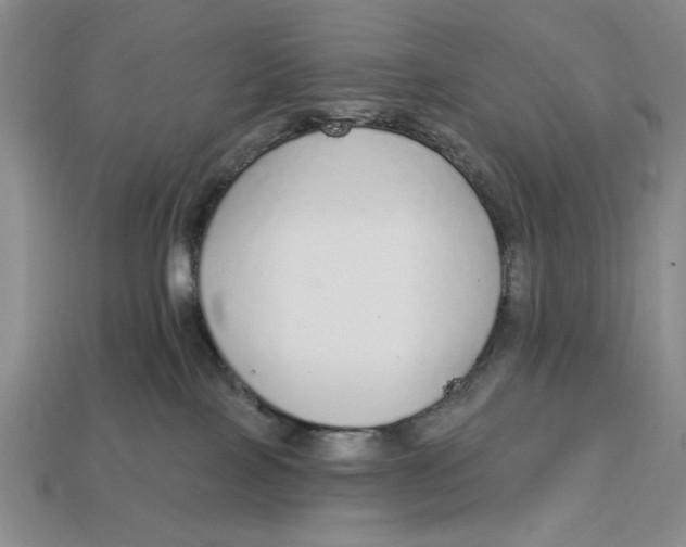 X0000112910089200909141300