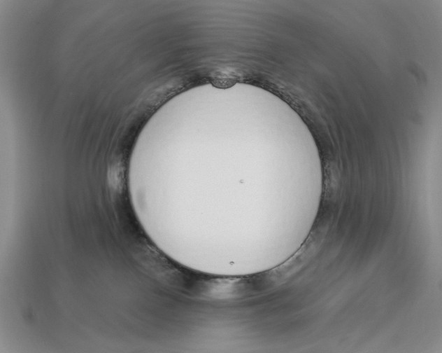 X0000112910090200909141300