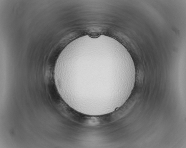 X0000112910091200909141300