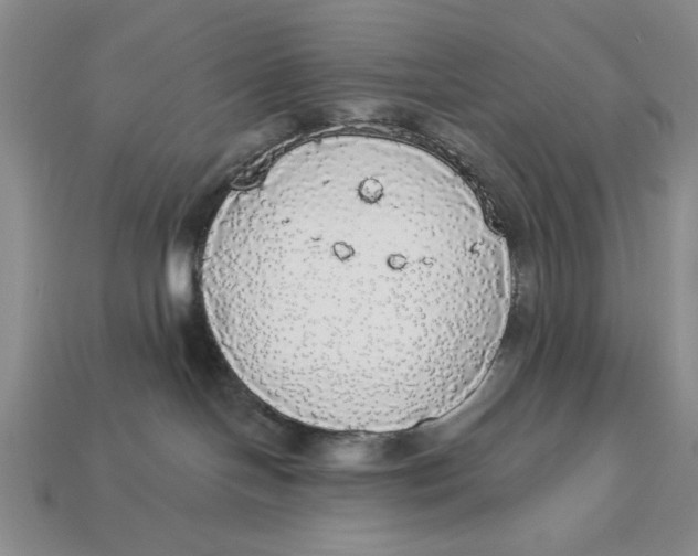 X0000112910094200909141300