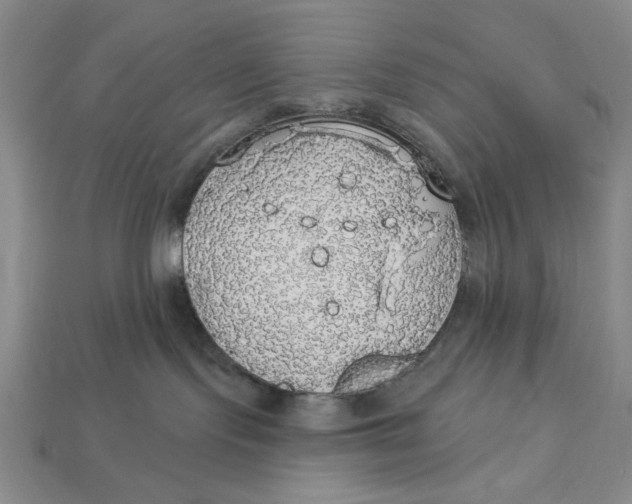 X0000112910095200909141300