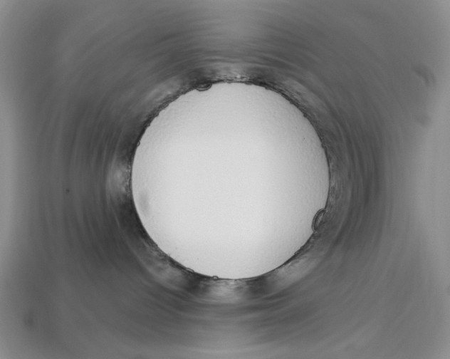 X0000112910096200909141300