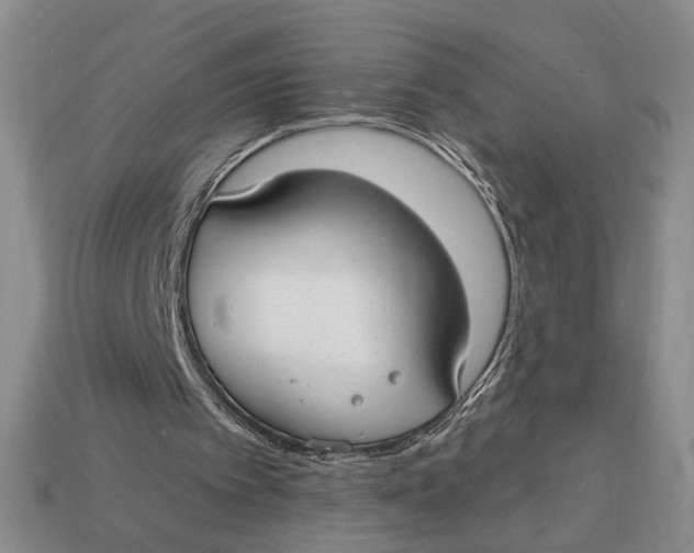 X0000112910097200909141300