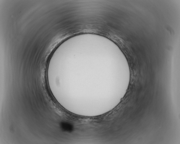 X0000112910098200909141300