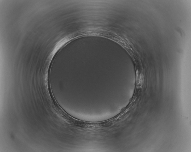 X0000112910099200909141300