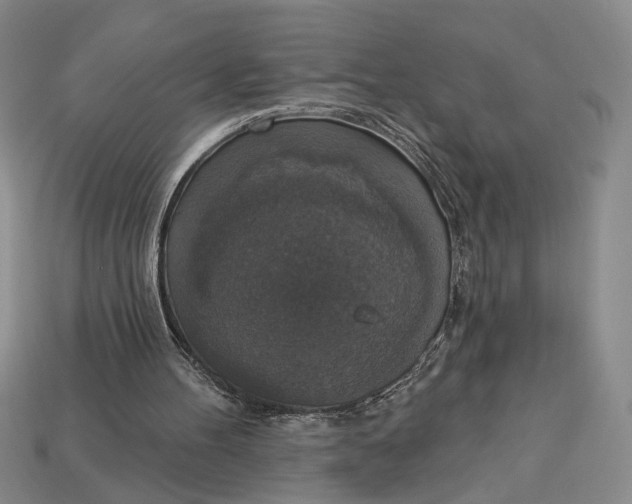 X0000112910100200909141300