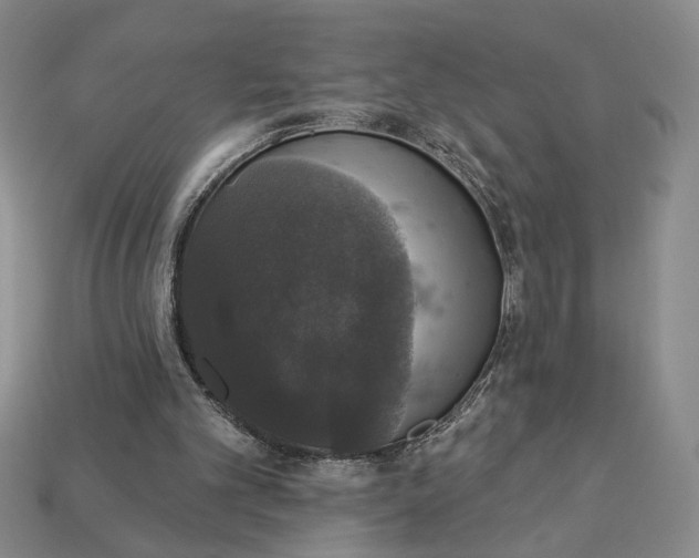 X0000112910101200909141300