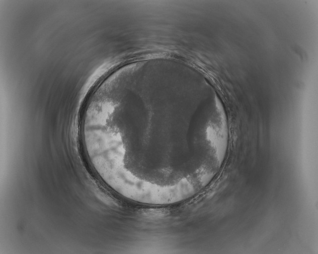 X0000112910102200909141300