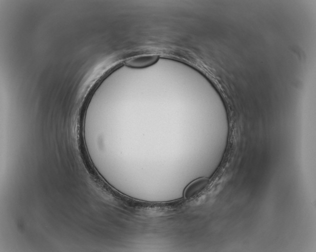 X0000112910103200909141300