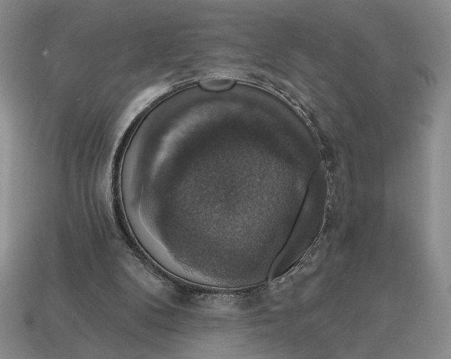 X0000112910104200909141300