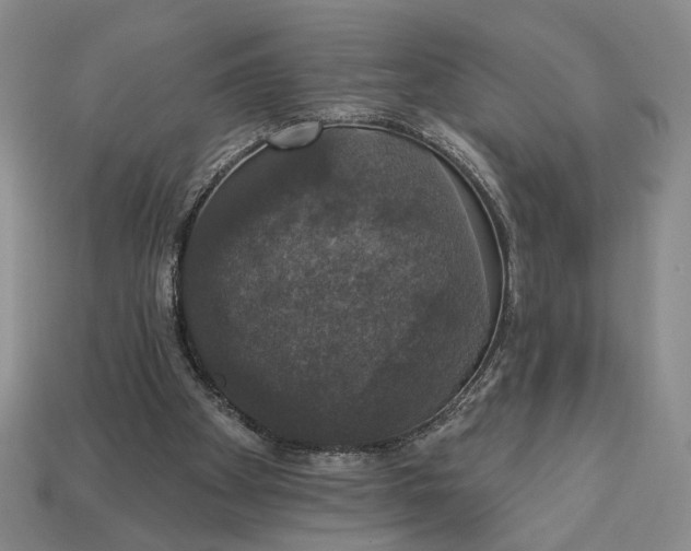 X0000112910105200909141300