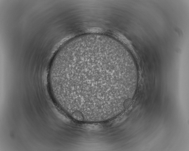 X0000112910106200909141300