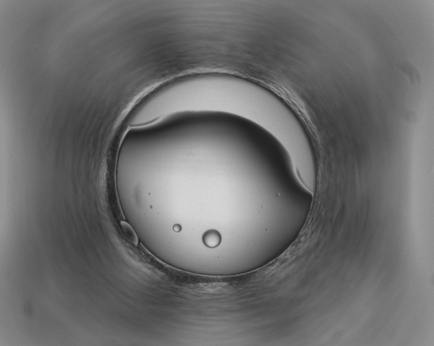 X0000112910108200909141300