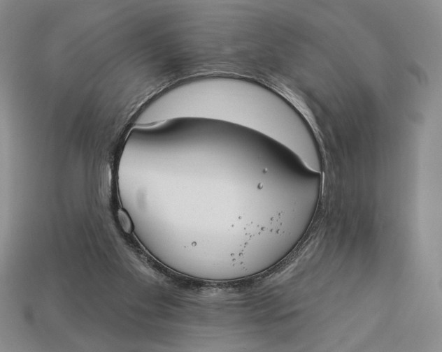 X0000112910109200909141300