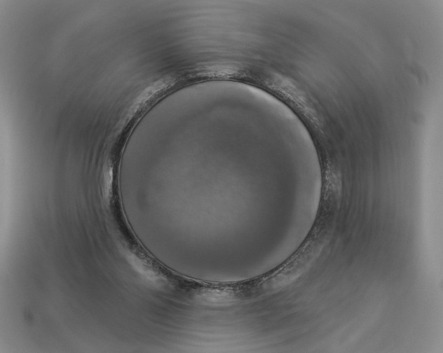 X0000112910110200909141300