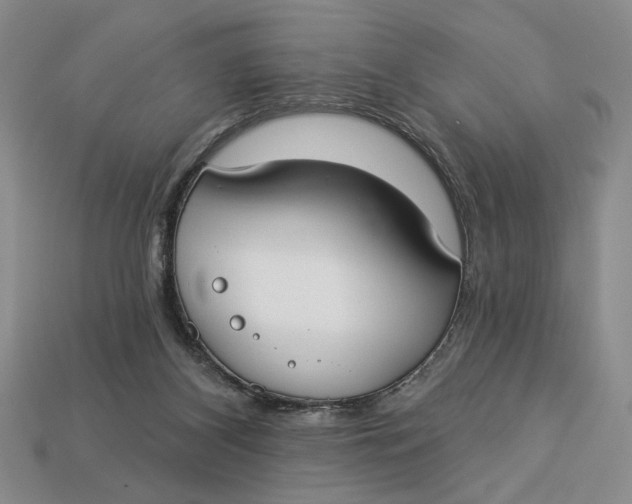 X0000112910116200909141300