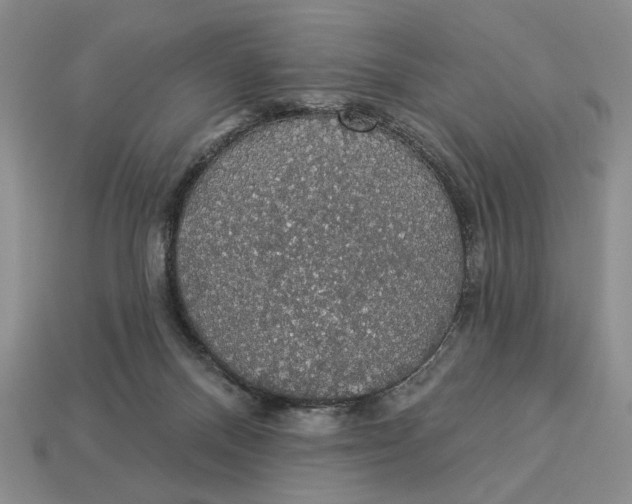 X0000112910120200909141300