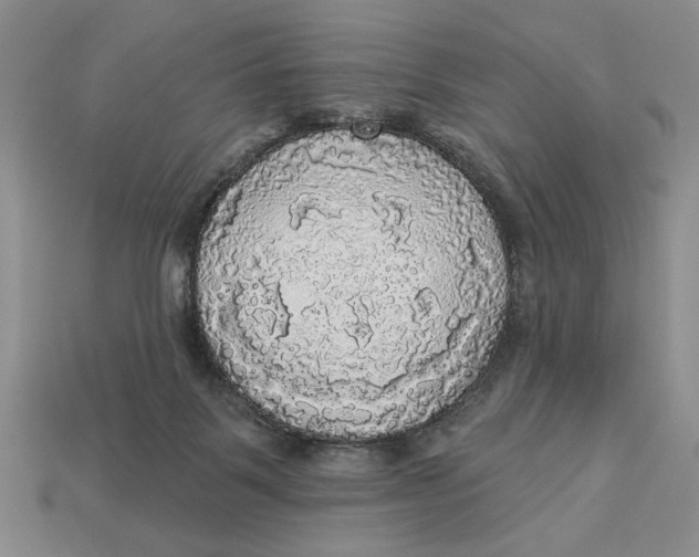 X0000112910123200909141259