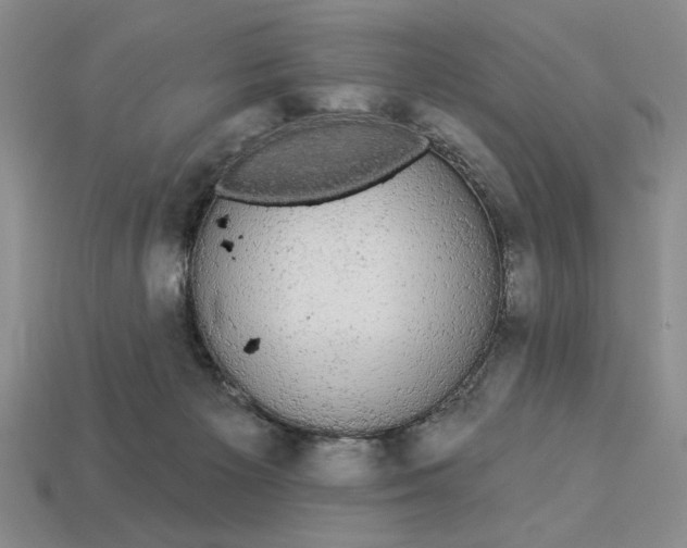 X0000112910125200909141259