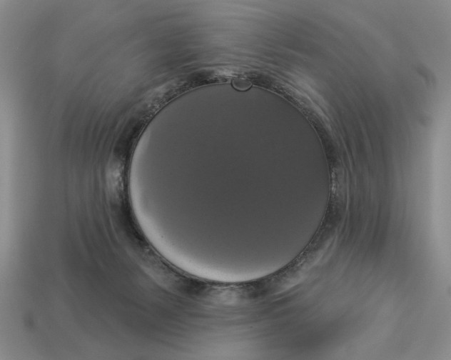 X0000112910127200909141259