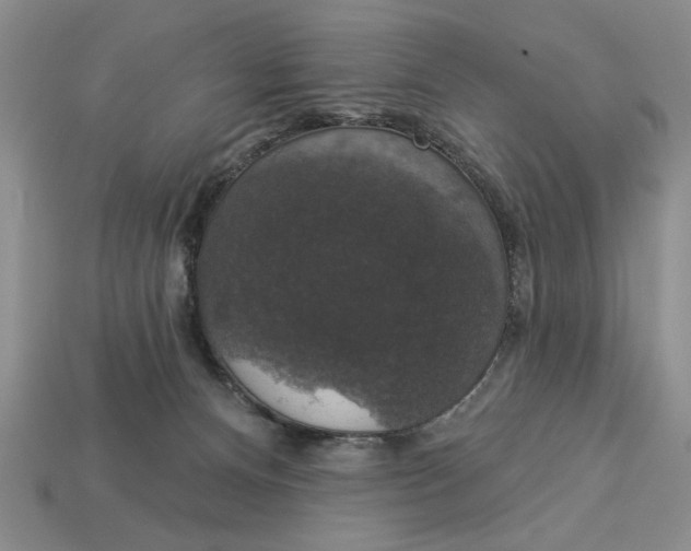 X0000112910128200909141259