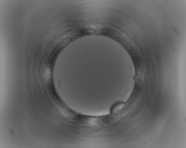 X0000112910130200909141259