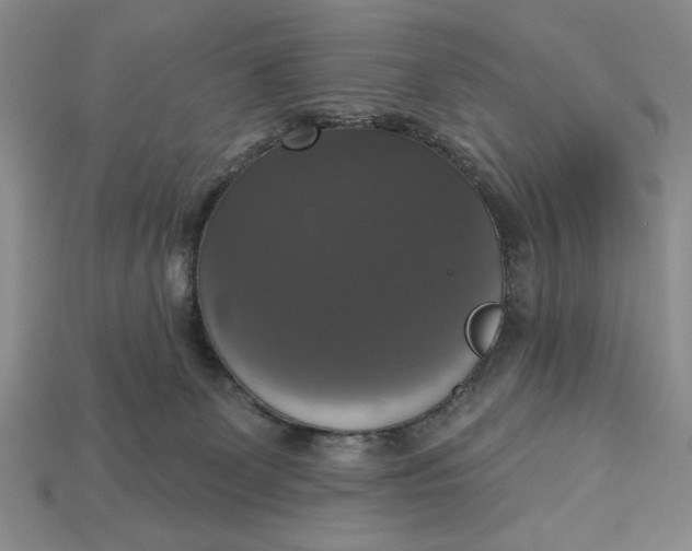 X0000112910131200909141259