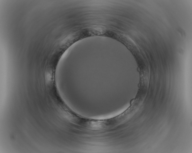 X0000112910134200909141259