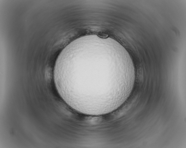 X0000112910135200909141259