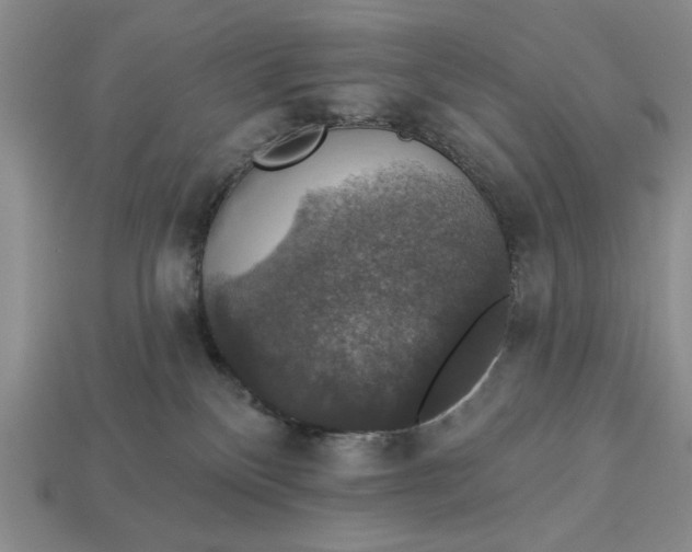 X0000112910136200909141259