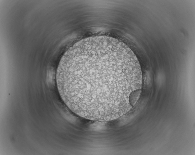 X0000112910138200909141259