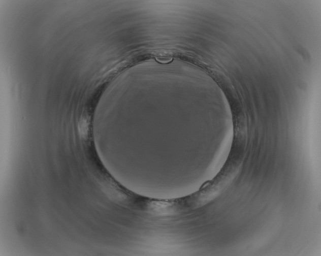 X0000112910139200909141259