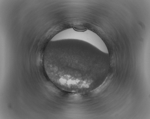 X0000112910140200909141259