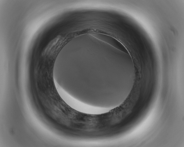 X0000112910143200909141259