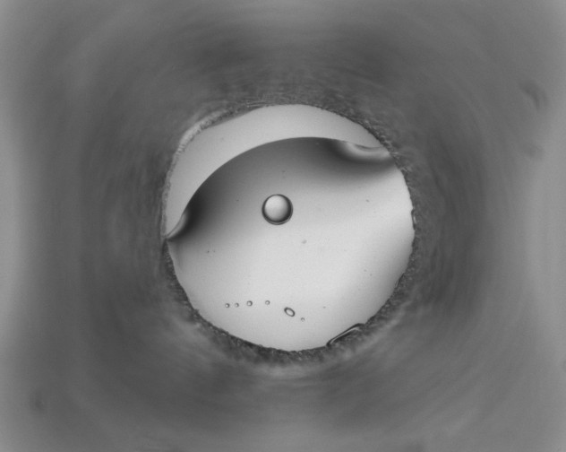 X0000112910144200909141259