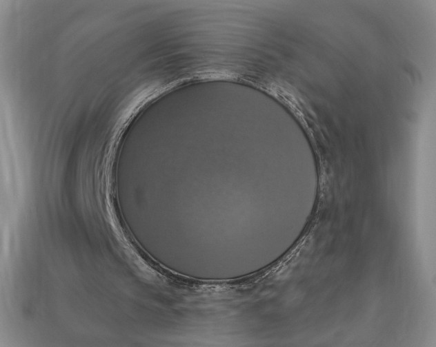 X0000112910145200909141258