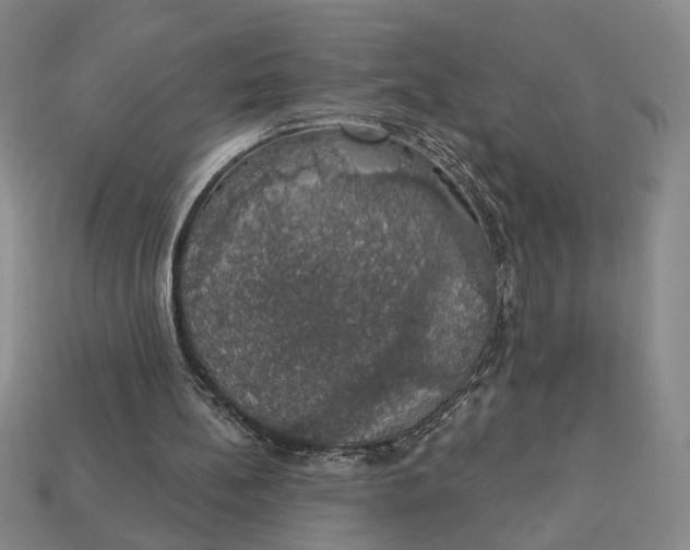 X0000112910148200909141258