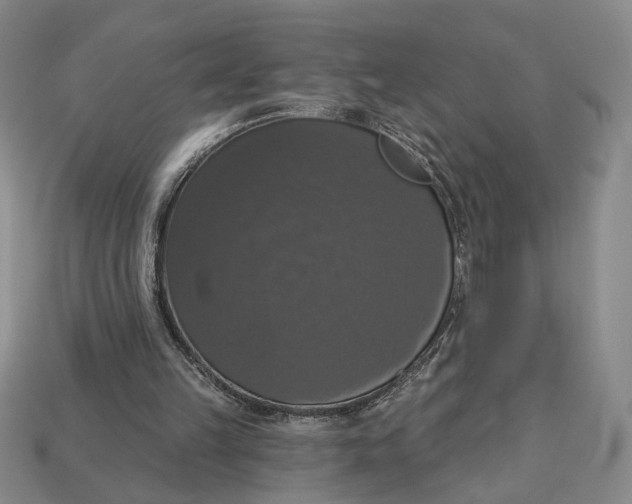 X0000112910149200909141258