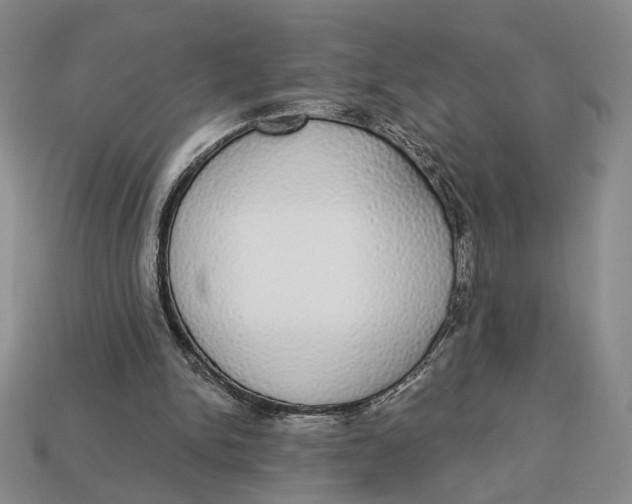 X0000112910150200909141258