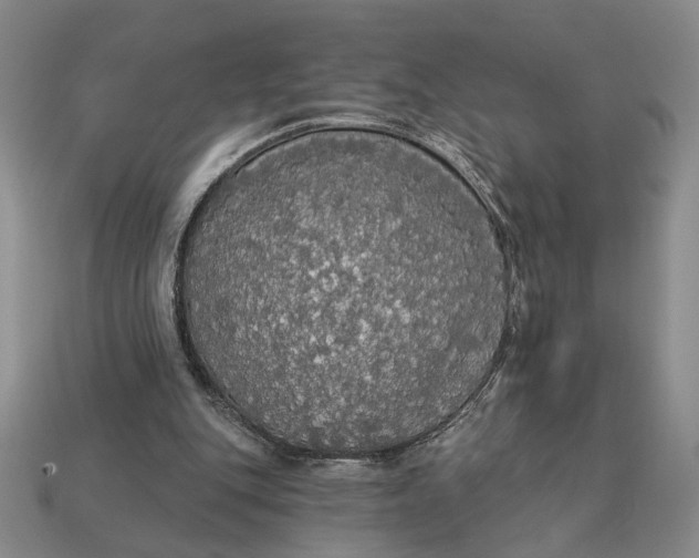 X0000112910151200909141258