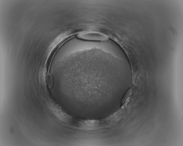 X0000112910152200909141259