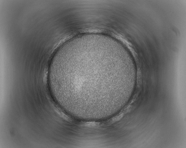 X0000112910153200909141259