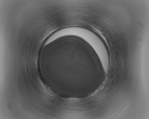 X0000112910154200909141259