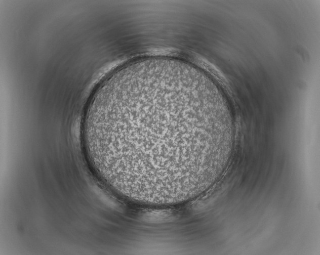 X0000112910155200909141259