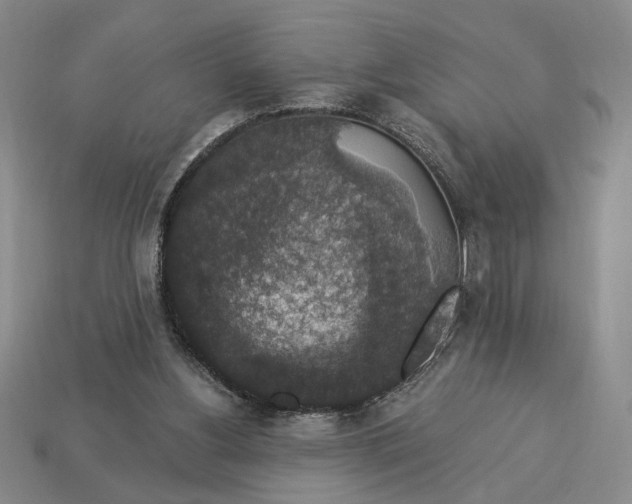 X0000112910156200909141259